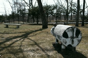 動物園に放たれた乳牛。1/250 F5.6 ISO100